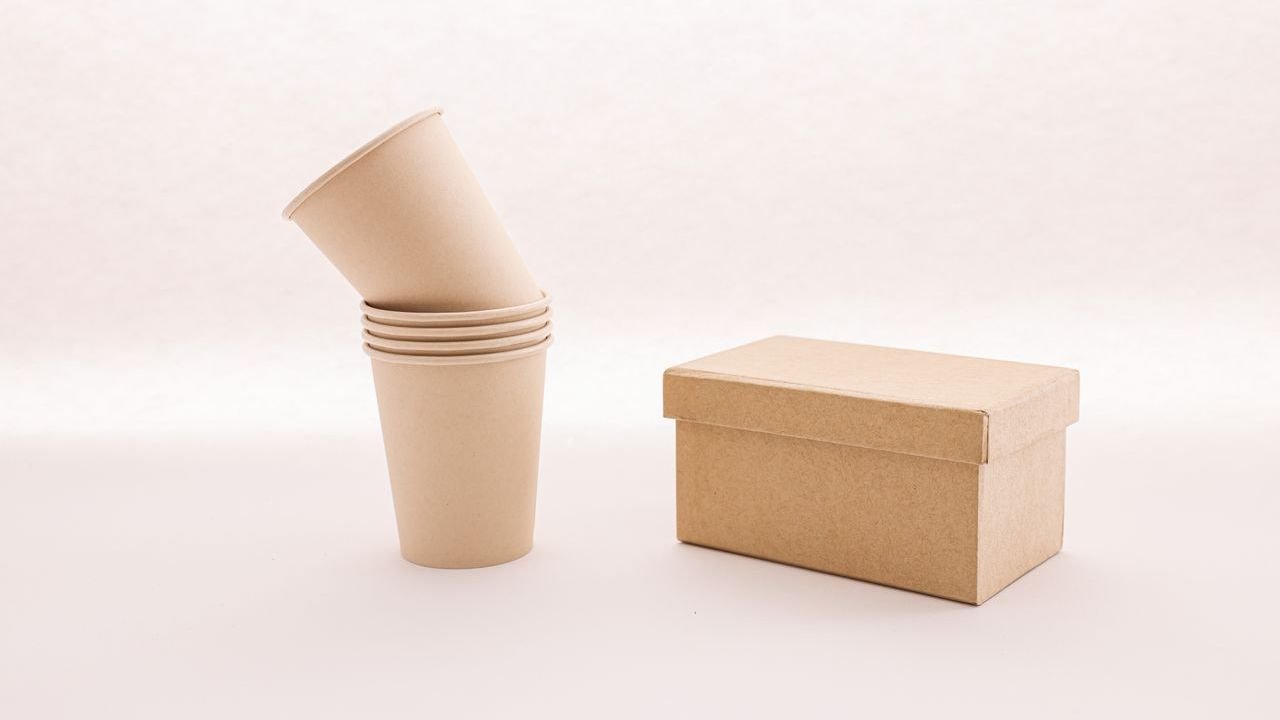 Kraft paper cups and cardboard box as alternatives to single-use plastic packaging